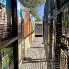 New lion enclosure construction moorpark ca (7)